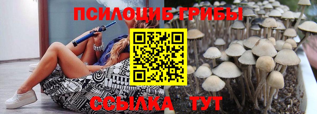 Луховицы  Галлюциногенные грибы Psilocybe  Вход с VPN 